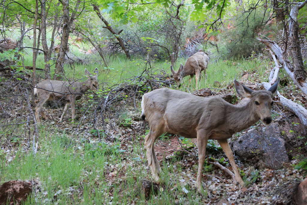 USA - der Westen 2013